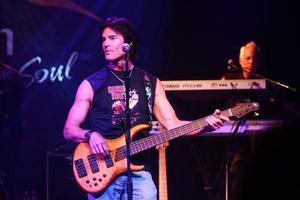 LOS ANGELES, JUN 3 - Ronn Moss at the Player Concert celebrating Devin DeVasquez 50th Birthday to benefit Shelter Hope Pet Shop at the Canyon Club on June 3, 2013 in Agoura, CA photo