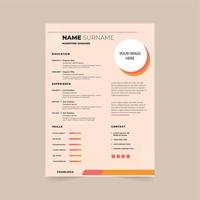 Professional CV resume template design. vector minimalist