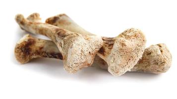 Three chicken bones are isolated on a white background. photo