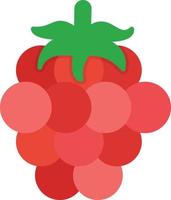 Raspberry Flat Icon vector