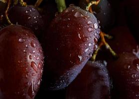Macro, ripe grape coatings with sparkling drops of water. photo
