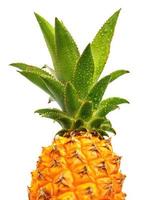 Ripe juicy pineapple with leaves isolated on a white background. photo