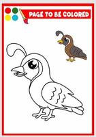 coloring book for kids. quail vector