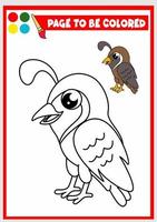 coloring book for kids. quail vector