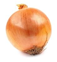The golden bulb of the ripe onion is isolated on a white background. photo