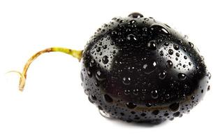 The berry of black grapes with a tail is isolated on a white background. Water drops on grapes. photo