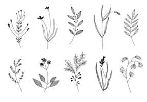 A set of leaves drawn by a liner by hand vector