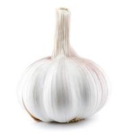 Isolated garlic. Raw garlic isolated on white background photo