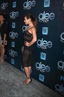 LOS ANGELES, MAR 18 -  Lea Michele at the GLEE 100th Episode Party at Chateau Marmont on March 18, 2014 in West Hollywood, CA photo