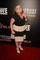 LOS ANGELES, NOV 19 - Alana Honey Boo Boo Thompson at the Premieres Of Marriage Boot Camp Reality Stars and Ex-isle at the Le Jardin on November 19, 2015 in Los Angeles, CA photo