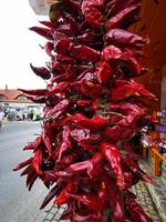 Strong chili peppers at Tihany photo