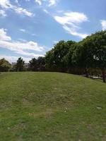 A large green field with trees in the background photo