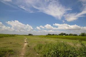 Beautiful Green  fields  with contrasting  Blue skies photo