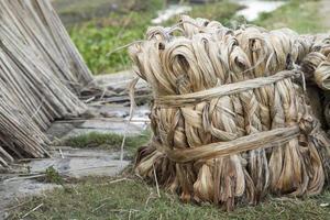 A thick brown  bundle of  raw jute has on the ground photo