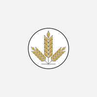 Agriculture wheat  logo vector