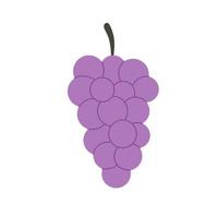 Fresh grape bunch. Summer fruit. Healthy and organic food. Vector illustration in flat style