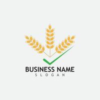 Agriculture wheat  logo vector