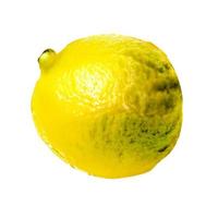 lemon fruit and half cut lemon isolated on white background Clipping Path photo