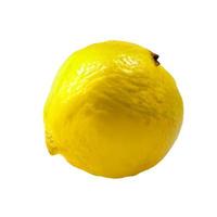 lemon fruit and half cut lemon isolated on white background Clipping Path photo