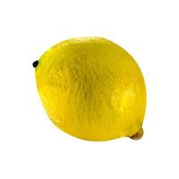 lemon fruit and half cut lemon isolated on white background Clipping Path photo