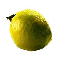 lemon fruit and half cut lemon isolated on white background Clipping Path photo