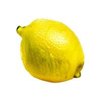 lemon fruit and half cut lemon isolated on white background Clipping Path photo