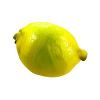 lemon fruit and half cut lemon isolated on white background Clipping Path photo