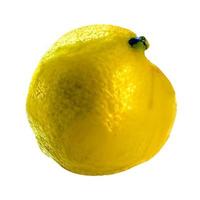 lemon fruit and half cut lemon isolated on white background Clipping Path photo