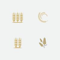 Agriculture wheat  logo vector