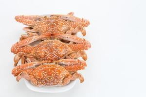 Steamed Blue Crab served on plate, food preparation photo