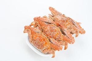 Steamed Blue Crab served on plate, food preparation photo