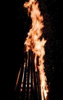 la hoguera arde en el bosque. foto