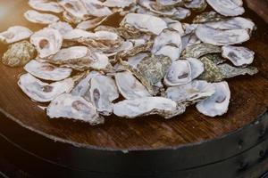 Empty oysters' shells. photo