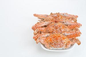 Steamed Blue Crab served on plate, food preparation photo