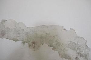 old white concrete background photo