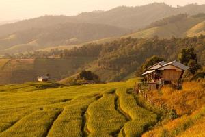 Choza en el campo de arroz en terrazas verdes durante la puesta de sol en Chiang Mai, Tailandia foto