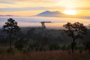 Brumoso amanecer en la montaña en el parque nacional de Thung Salang Luang Phetchabun, Tailandia foto