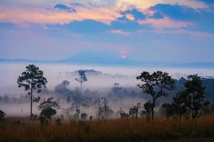 Misty morning sunrise at Thung Salang Luang National Park Phetchabun,Thailand photo