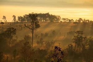 brumoso amanecer matutino en el parque nacional thung salang luang phetchabun,tung slang luang es sabana de pastizales en tailandia foto