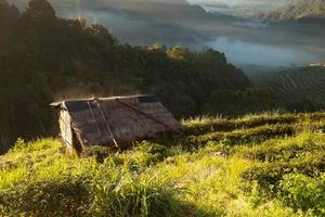 Misty morning sunrise in tea plantation and hut at Doi Ang Khang, Chiang Mai, Thailand photo