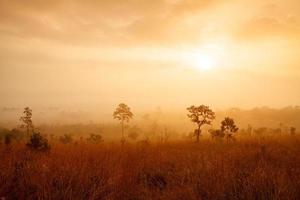 brumoso amanecer matutino en el parque nacional thung salang luang phetchabun, tailandia foto