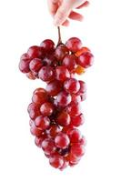 hand holding a fresh red grape photo