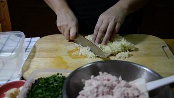 Chef is making Gyoza - favorite Asian recipe preparation concept video