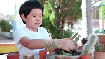 kinderen mensen en thuis klein cactustuinconcept - mooie glimlachjongen, achtjarige Thaise of aziatische jongen die kleine cactus gelukkig plant tijdens zijn vakantieactiviteiten in zijn eigen tuin video