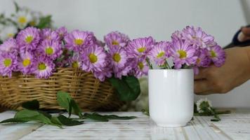 handen nemen violette bloemen en zetten het in een witte vaas video