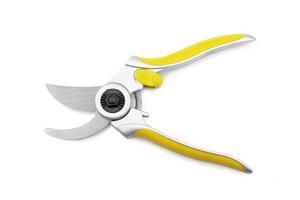 green garden secateurs isolated on a white background photo