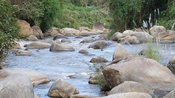 vackra lokala vattenfall i chiang mai thailand - vatten natur bakgrund slappna av koncept video