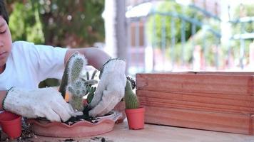 kinderen mensen en thuis klein cactustuinconcept - mooie glimlachjongen, achtjarige Thaise of aziatische jongen die kleine cactus gelukkig plant tijdens zijn vakantieactiviteiten in zijn eigen tuin video