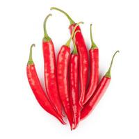 red chili or chilli cayenne pepper isolated on white background photo