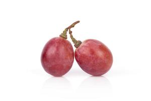 red grape on white background,close up photo